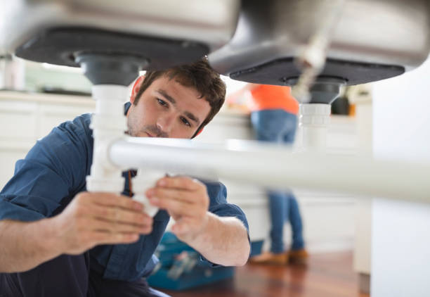  Lake Hallie, WI Plumbing Pros