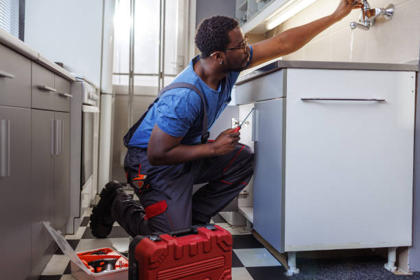 Best Clogged Drain Plumber  in Lake Hallie, WI